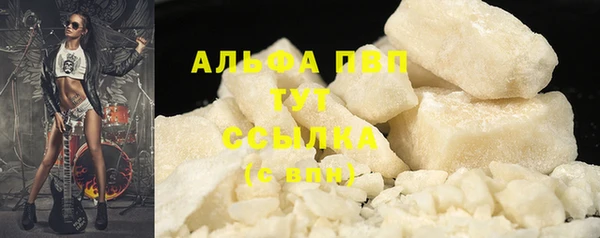 шишки Балахна