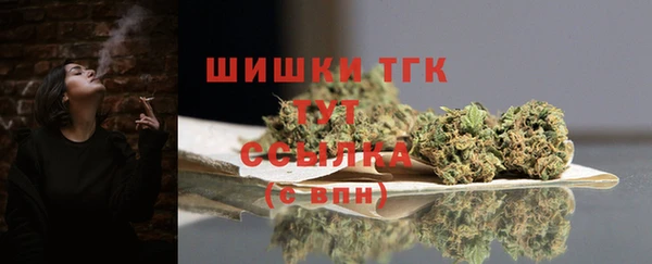 шишки Балахна