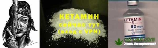 прущие грибы Балабаново