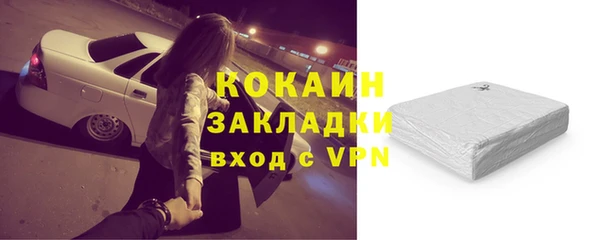 прущие грибы Балабаново