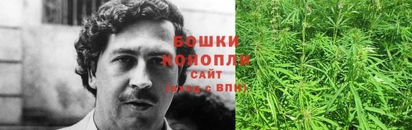 шишки Балахна