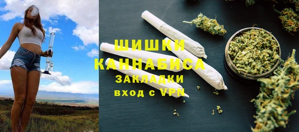 прущие грибы Балабаново
