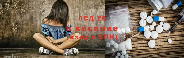 прущие грибы Балабаново