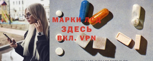 прущие грибы Балабаново
