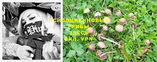 прущая мука Баксан